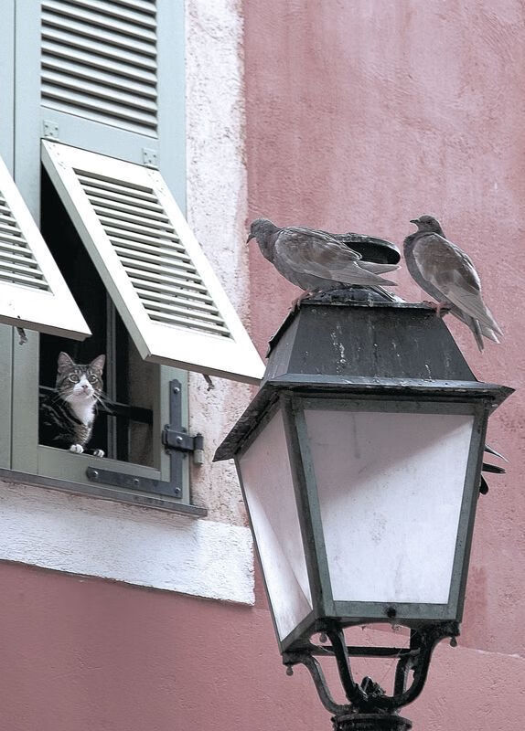 _不同国家的比赛文化:传统与创新的碰撞_,几个国家比赛的节目