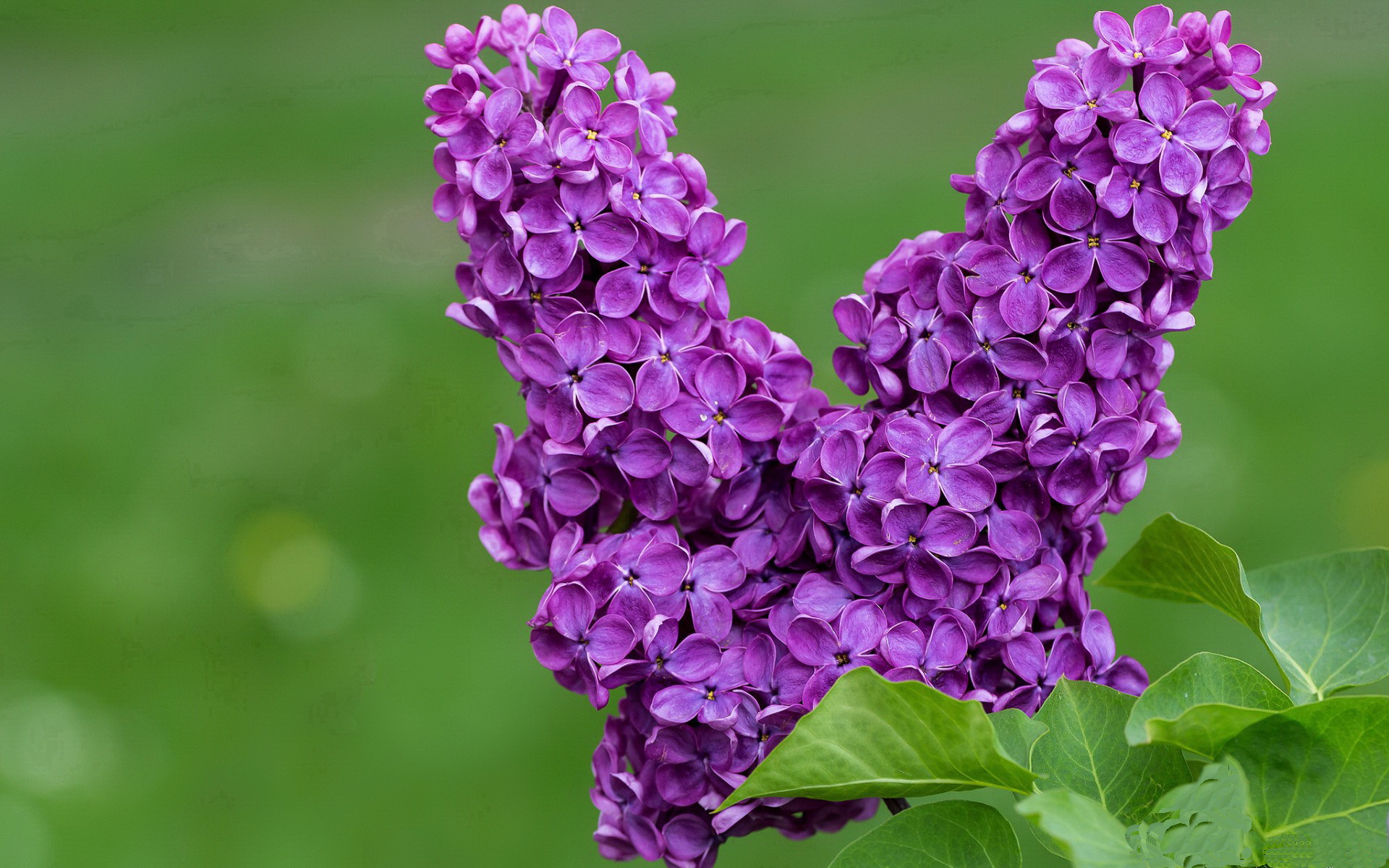 体育精神:比赛中最感人的瞬间与故事,体育比赛精神的名言警句