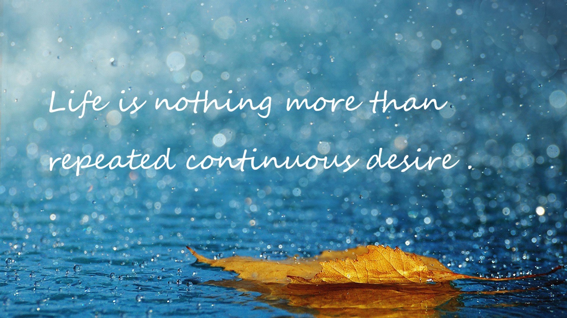 九游网-德甲比赛紧凑，精彩瞬间迭出，战术变化频繁，德甲 ds