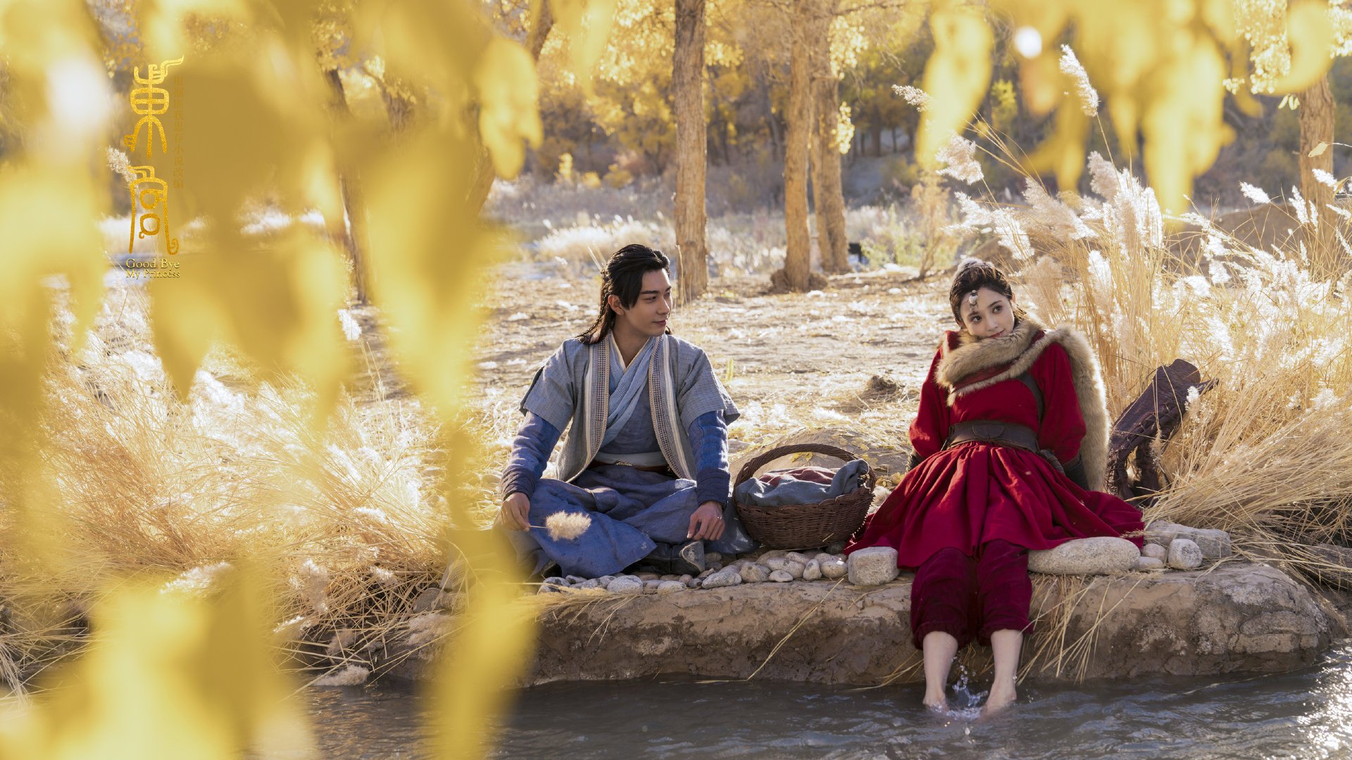 德甲比赛,教练点评关键数据,德甲主教练年薪排行