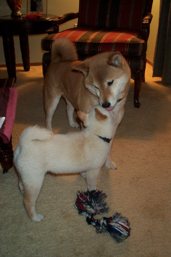 逆转“神奇之夜”：满载荣耀的传奇时刻，神奇逆袭人生