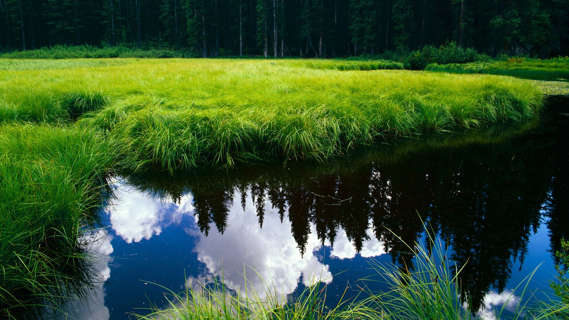 九游网游官网-《布克表现出色，带领球队拼搏至最后一刻》，布克入场