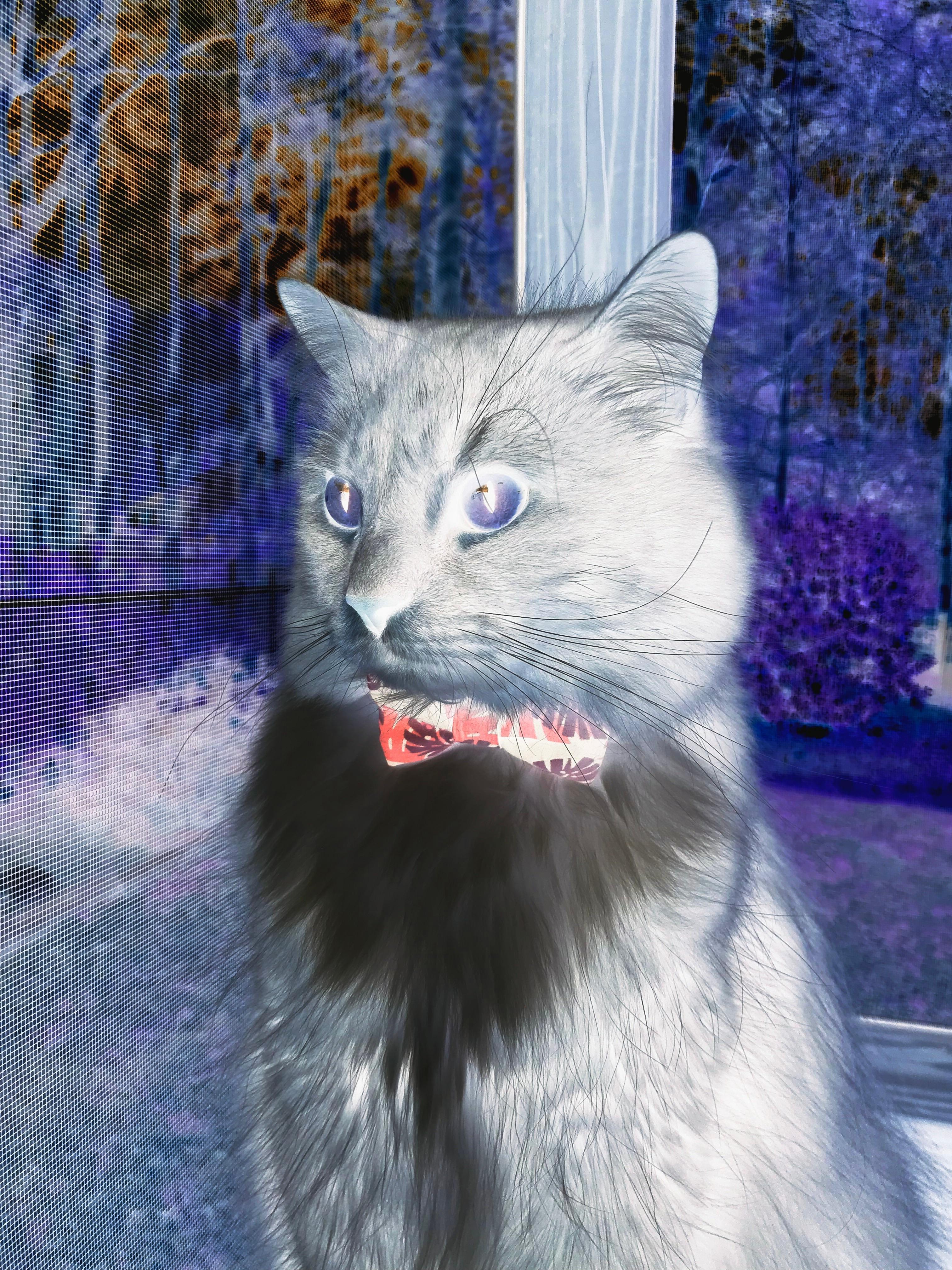 勇士主教练晒训练幕后花絮 备战做足功课，勇士教练历任主教练