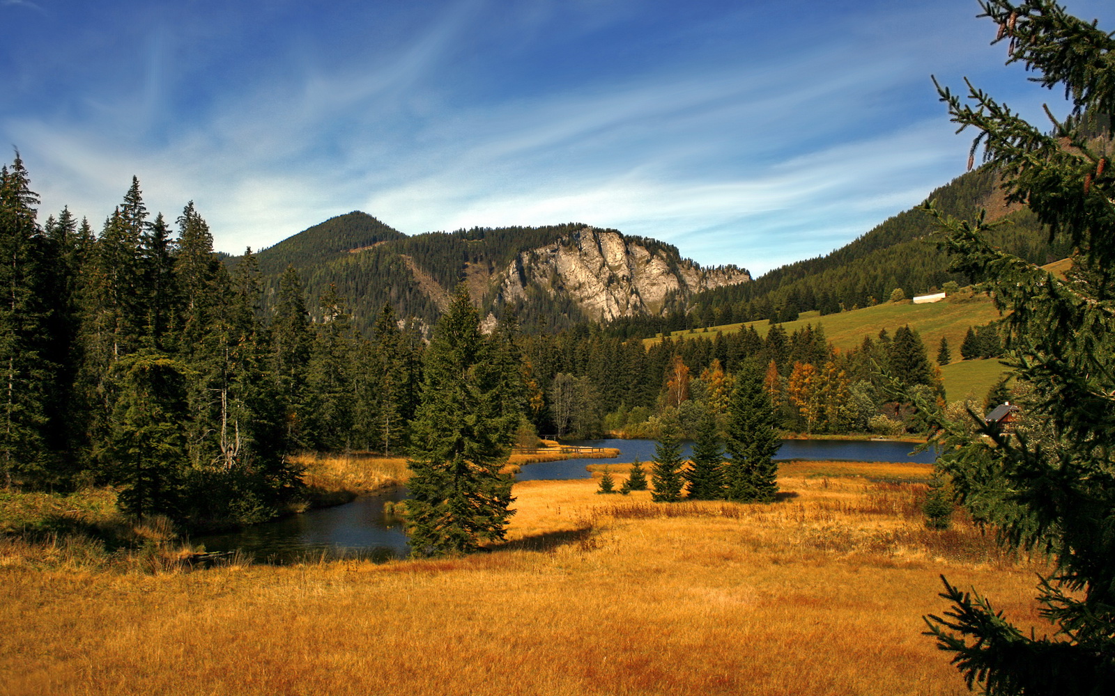 九游娱乐(jiuyou)官网-欧洲巨星篮球夏季巡回赛激情开幕，球迷沸腾，欧洲篮球集锦