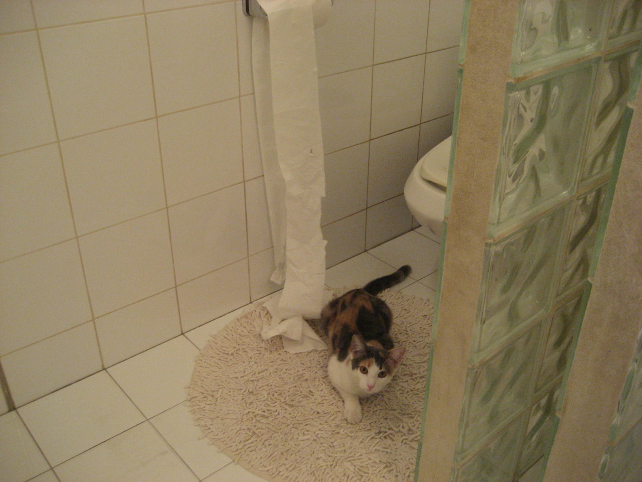 欧洲强队重返赛场，豪取胜利掀起胜利之风，欧洲队赛程