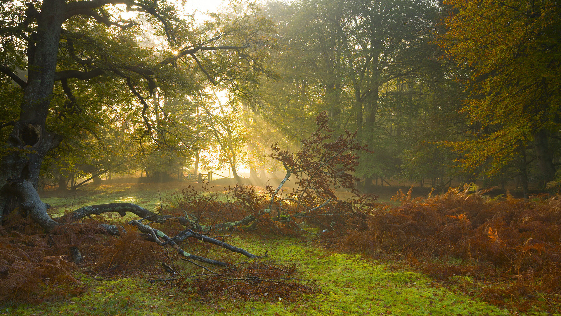 九游网游官网-球队是否应有文化建设专项负责人，球队文化与企业文化