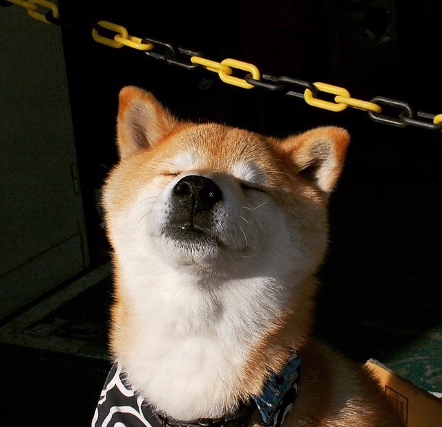 萨索洛是否应调整防守策略，萨索洛对萨勒尼