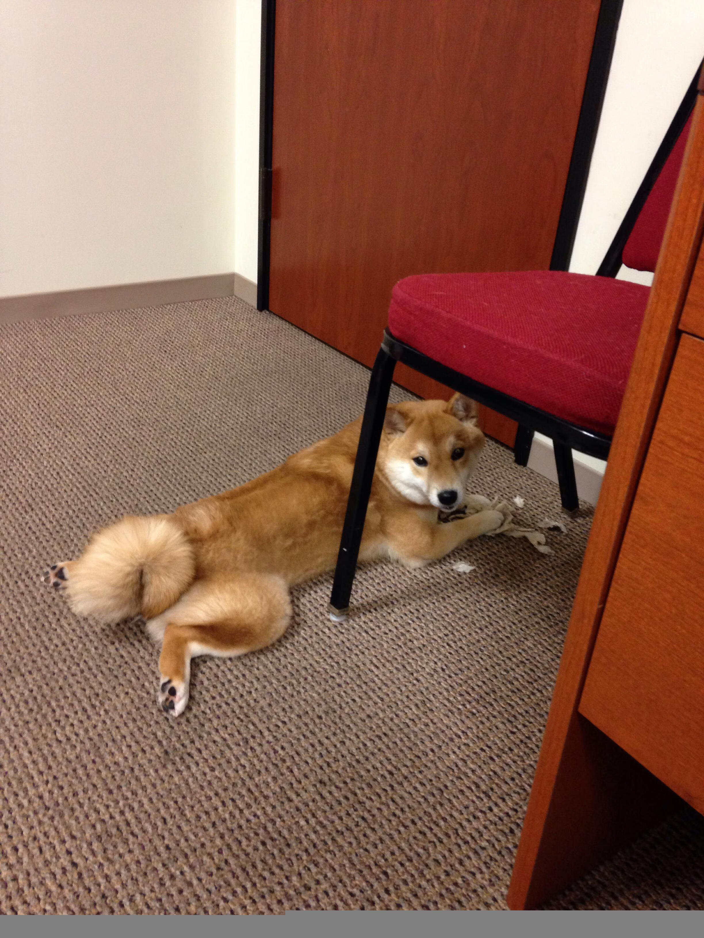 雷霆力克独行侠,系列赛焦点战中亚历山大创下生涯新高,雷霆队亚历山大百度百科