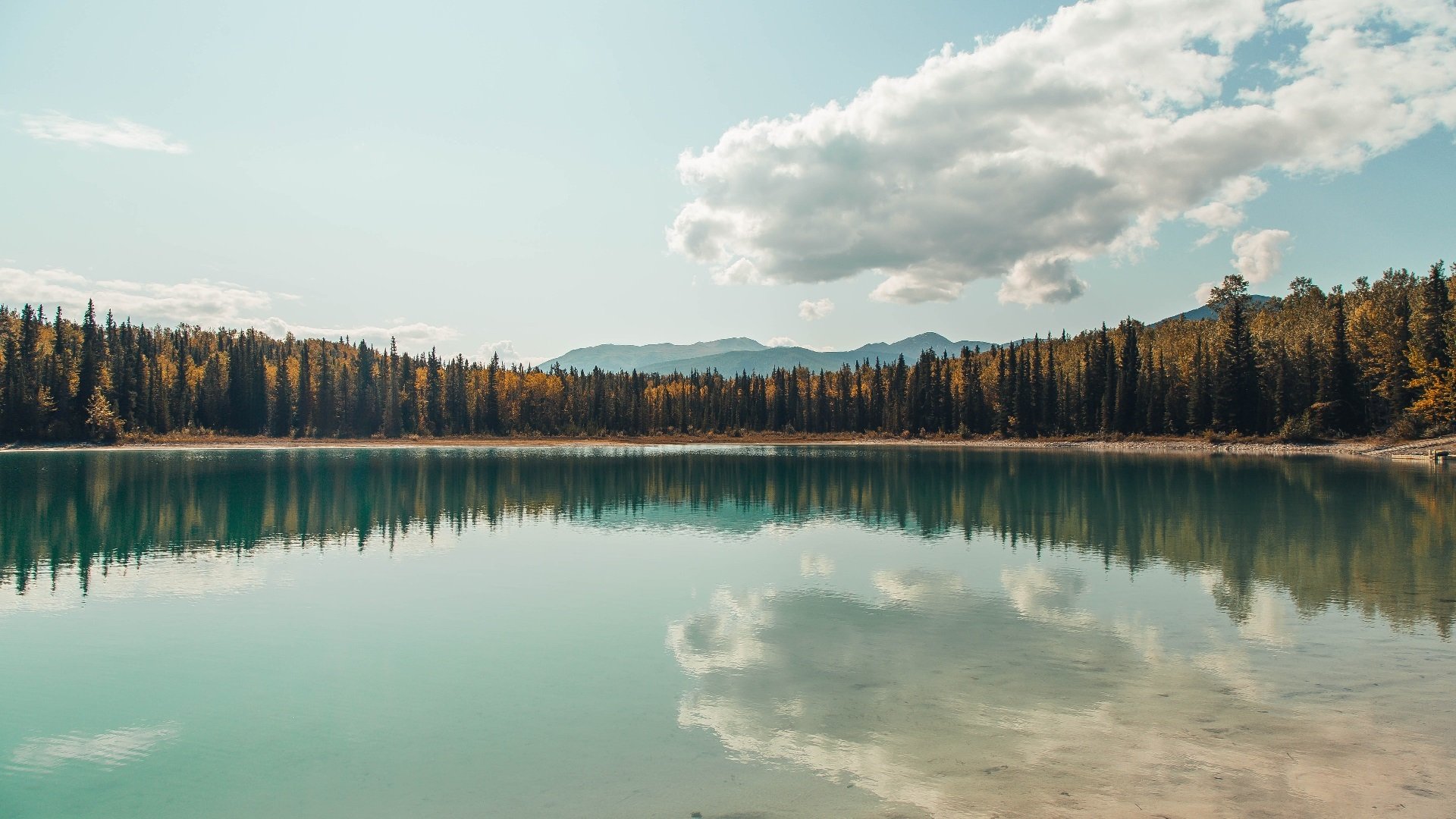 国足门前处理效率排名评估，国足国门