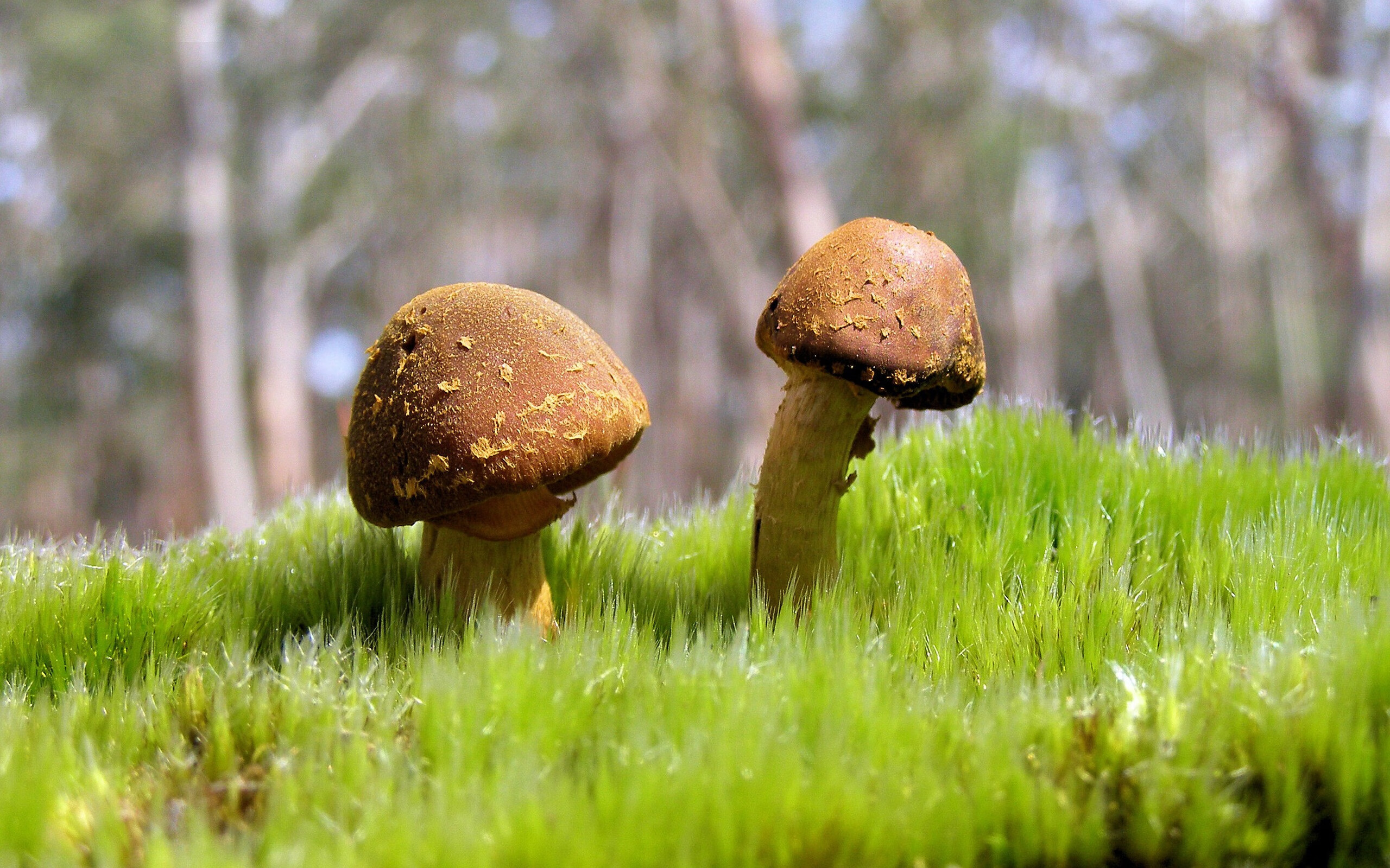 “高新体育中心：篮球赛精彩不断，决战即将来临”