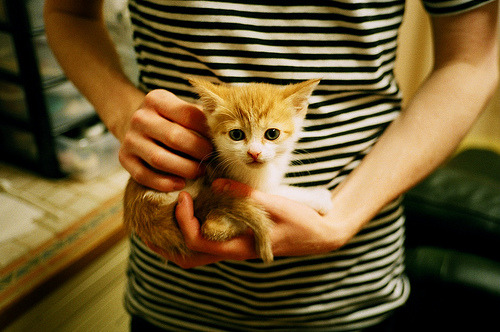 中小学生体育测评系统接入校园APP平台，中小学体质测试