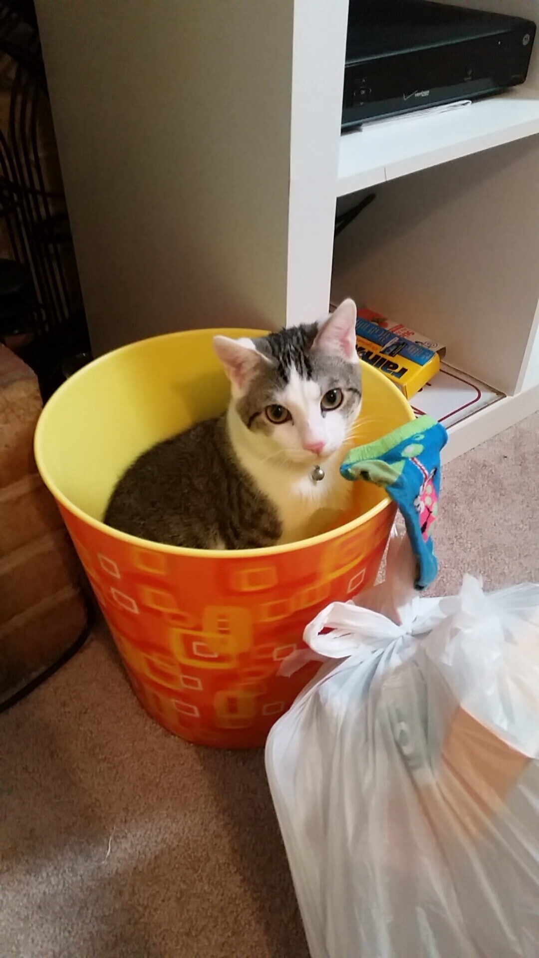 中超联赛中国青年队战平 球员精神状态良好,中超俱乐部青训梯队