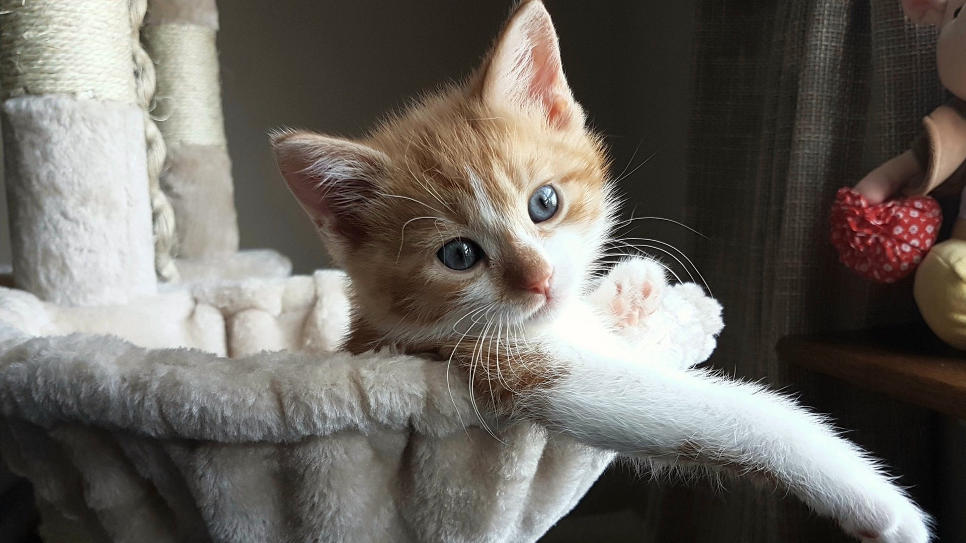 皇马边路快攻成为进攻主旋律,皇马右路