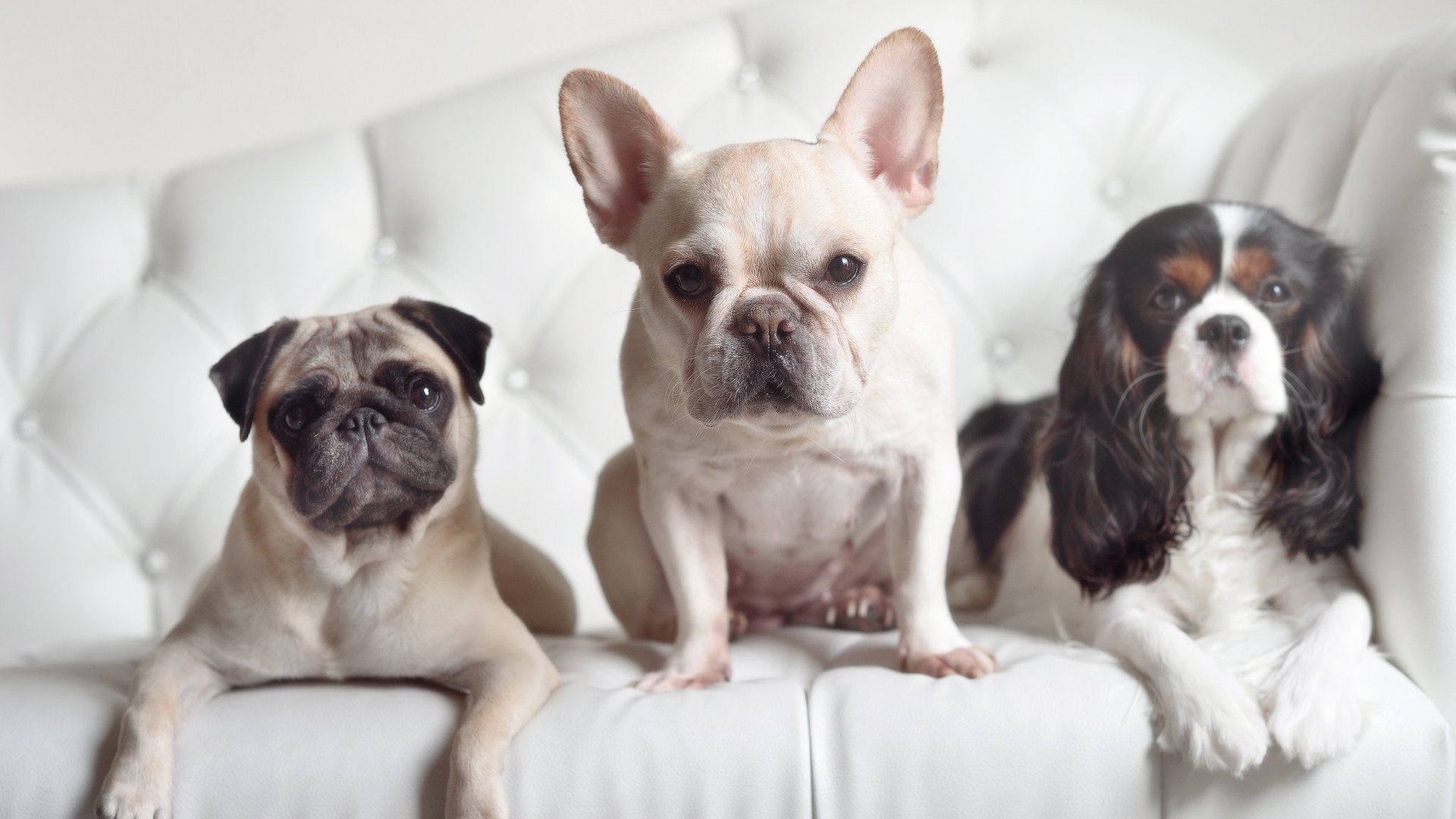 西甲精彩瞬间:突破、助攻、精彩不止!,西甲锦集